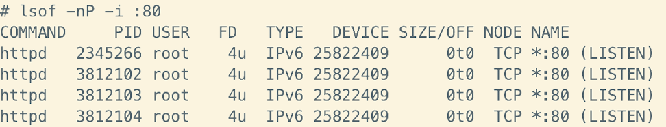 image-20250206173629686